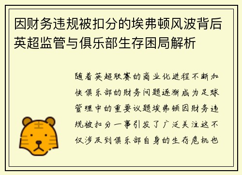 因财务违规被扣分的埃弗顿风波背后英超监管与俱乐部生存困局解析