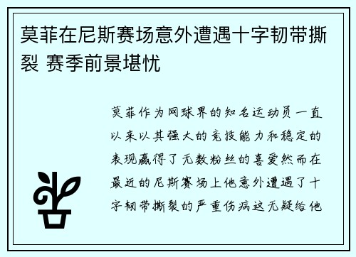 莫菲在尼斯赛场意外遭遇十字韧带撕裂 赛季前景堪忧